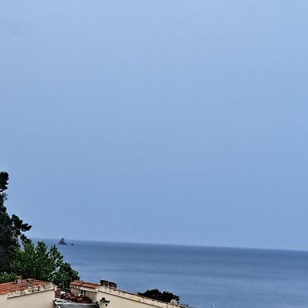Appartement The Four Fish à Petrovac Extérieur photo