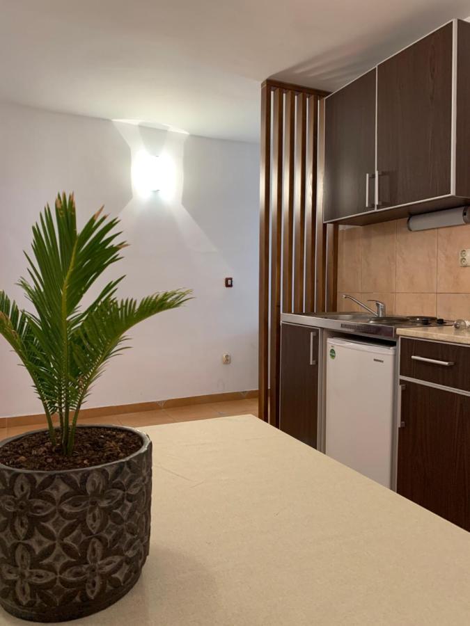 Appartement The Four Fish à Petrovac Extérieur photo